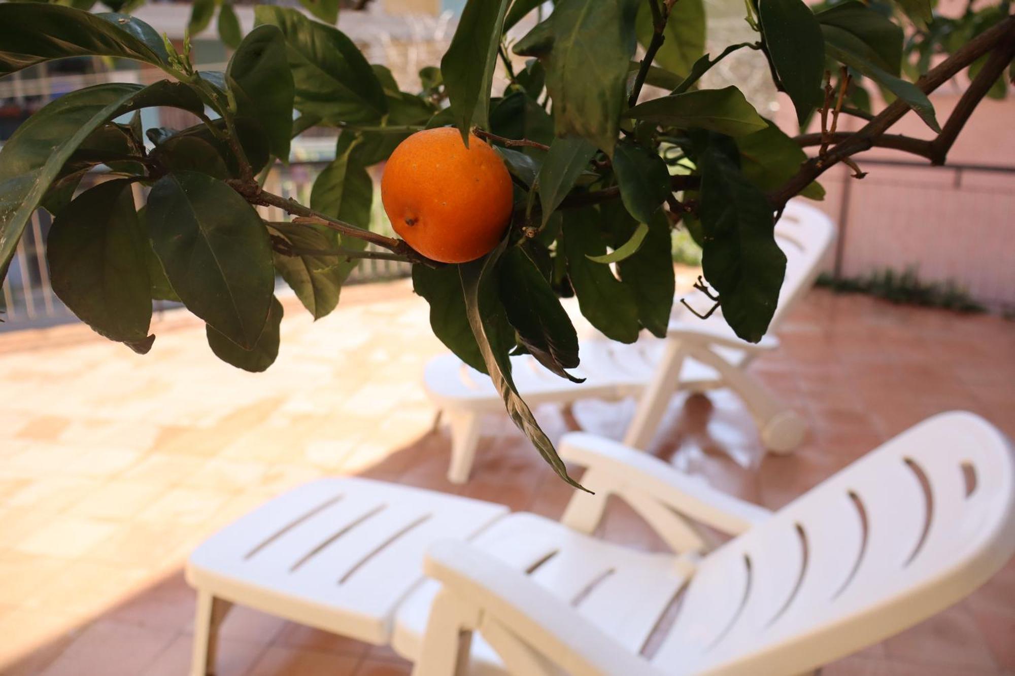 Giulio'S Terraces In The Bay Apartment Porto Venere Exterior photo